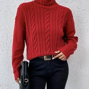 Solid Turtle Neck Cable Knit Sweater, Casual Long Sleeve Drop Shoulder Sweater, Women's Clothing