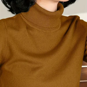 High-Neck Women'S Sweater Base Layer Thickened Women'S Autumn Winter New Inner Wear Slim Long Sleeve Top
